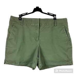 Loft Riviera Curvy Fit 5.5” inseam Shorts Light Green Sz 14
